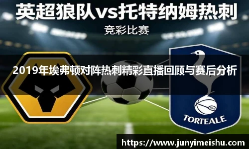 2019年埃弗顿对阵热刺精彩直播回顾与赛后分析