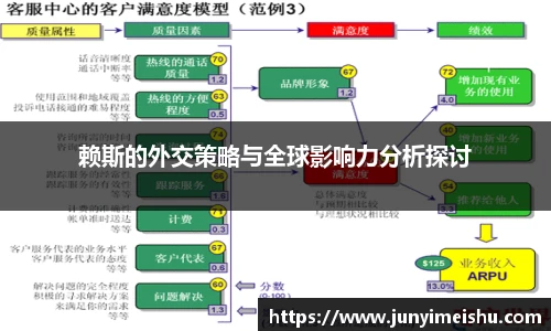 赖斯的外交策略与全球影响力分析探讨