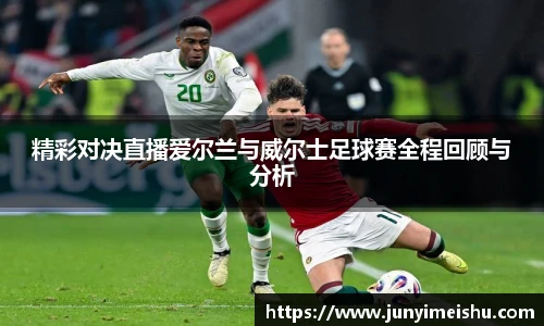 精彩对决直播爱尔兰与威尔士足球赛全程回顾与分析